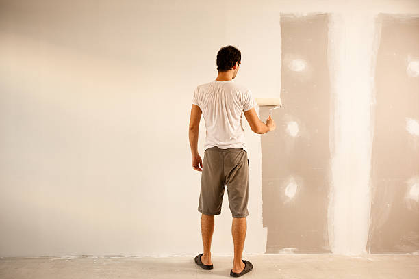 Best Wall Texturing and Painting  in USA